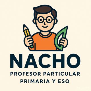 Profesor particular.