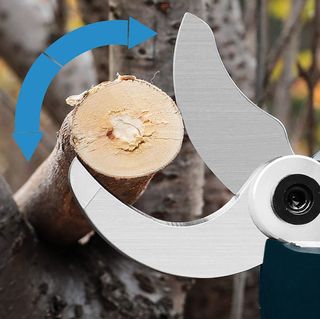 Forbici Potatura Elettriche 48V con 2 Batterie