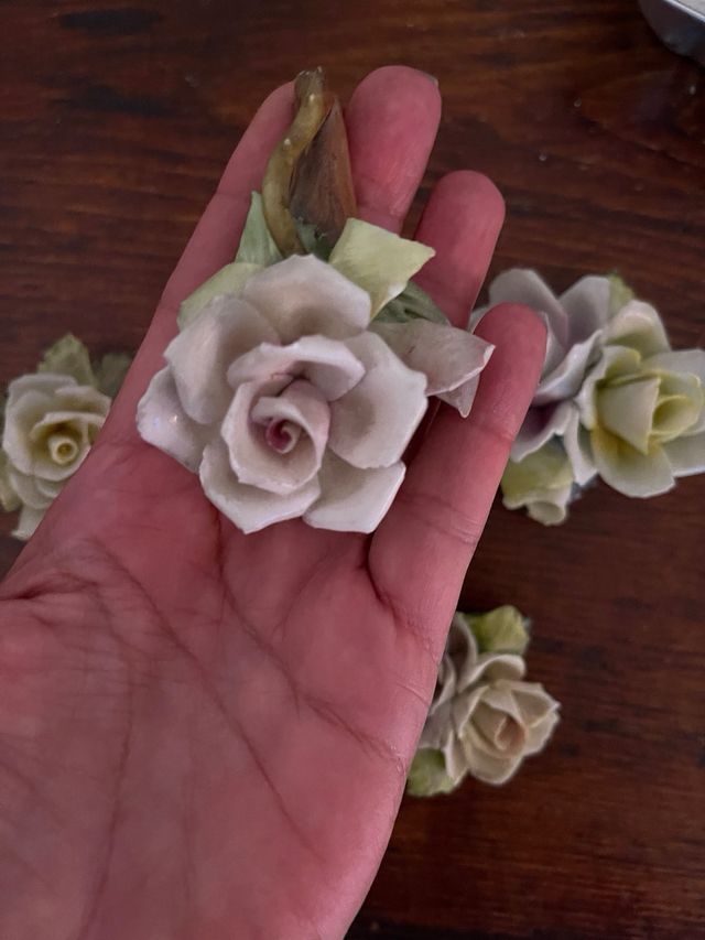 Collezione 6 rose Capodimonte + 2 bisquit