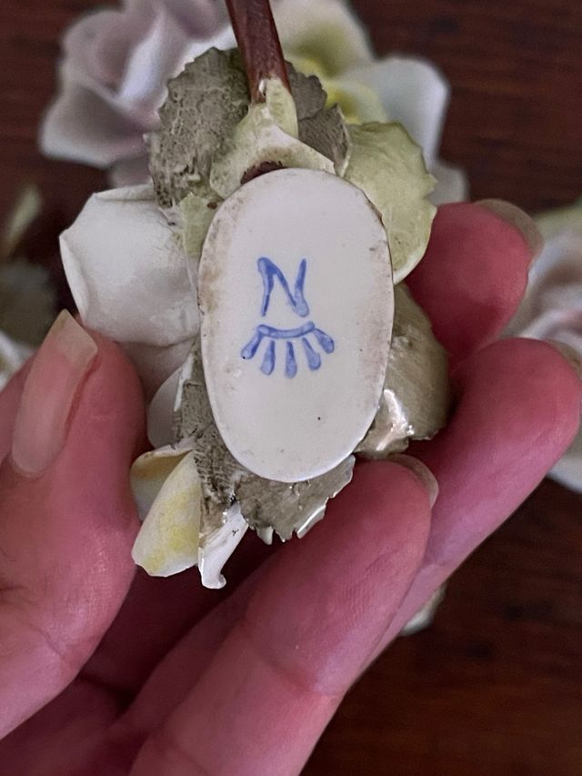 Collezione 6 rose Capodimonte + 2 bisquit