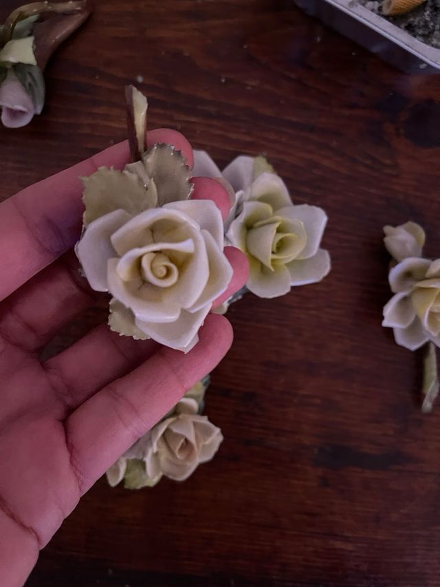 Collezione 6 rose Capodimonte + 2 bisquit