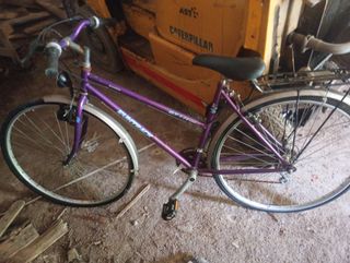 Bicicleta Morada