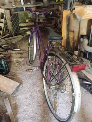 Bicicleta Morada