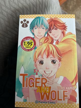 chitose
tiger and Wolf
day time shooting star 