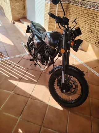 Setter Fénix 125A