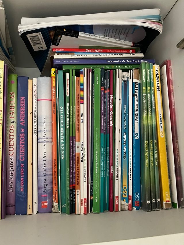 Lote de muchos libros y diccionarios