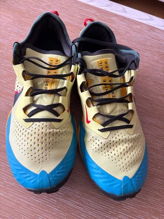 Zapatillas Nike Terra Kiger Trail Running