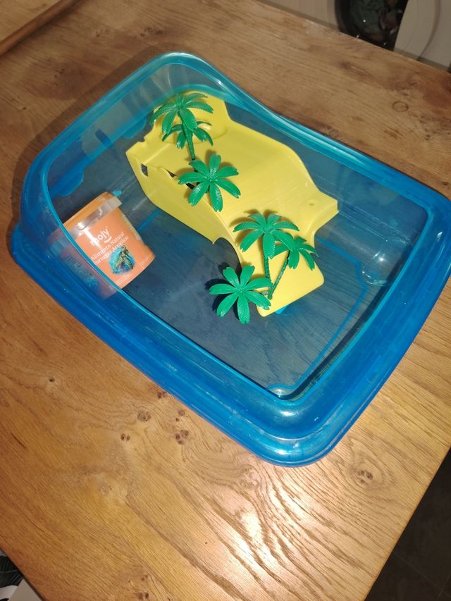 Tortuguera con isla y palmeras