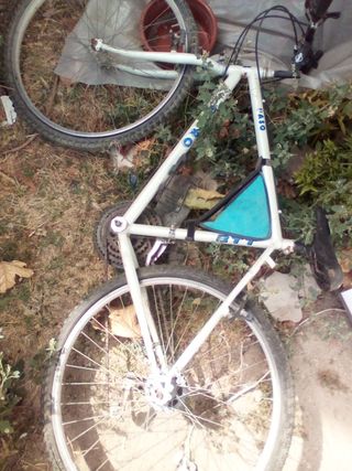 Bicicleta blanca
