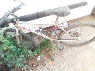 Bicicleta de montaña plateada