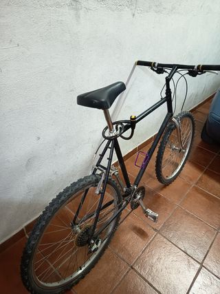 Bicicleta de Montaña