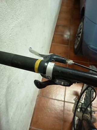 Bicicleta de Montaña