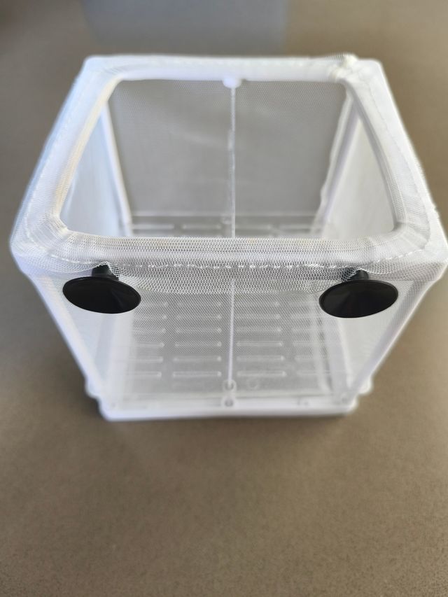 Paridera Nido 3.1 Hobby