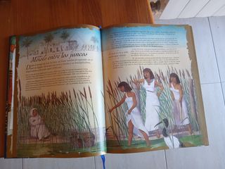 Biblia Ilustrada para Niños