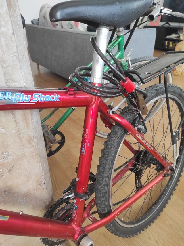 Bicicleta MTB Giant Talla 17.5