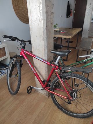 Bicicleta MTB Giant Talla 17.5