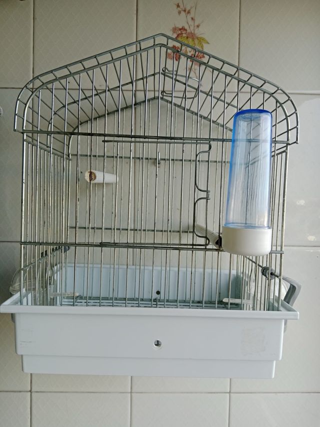 Jaula completa para canario o similar