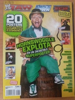 20 Pósters Gigantes Superestrellas WWE