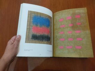 Libro Salvatore Emblema Oltre la Tela