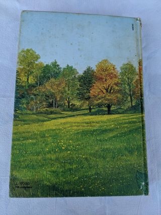 Il libro delle piante e dei fiori vintage anni 80