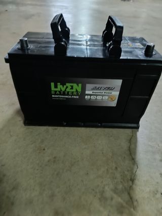  " CHOLLO " Batería LivN 110hA .
