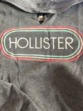 Sudadera Hollister Gris