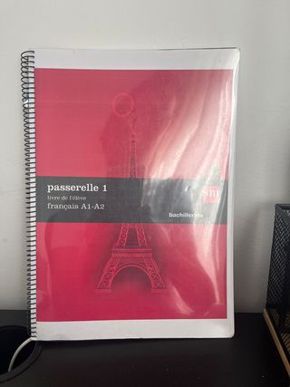 Passarelle 1