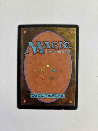 Mtg Magic Forest (V.3) Mercadia signed
