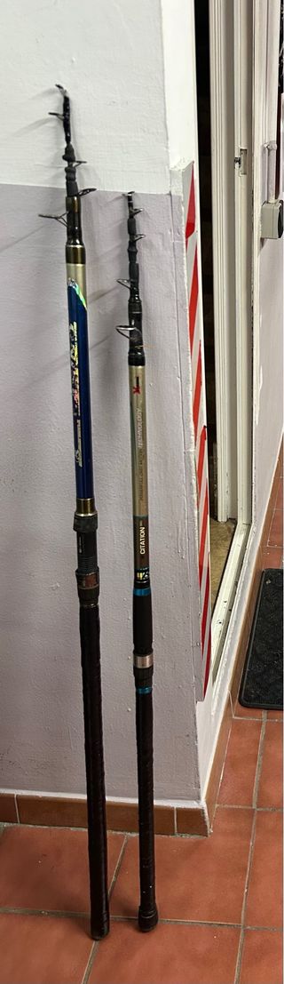 2 cañas de pescar telescópicas