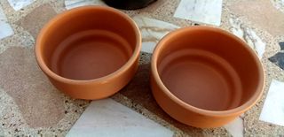 Confezione da 4 vasi per bonsai in fango
Dimensioni 16,5 x 8 cm