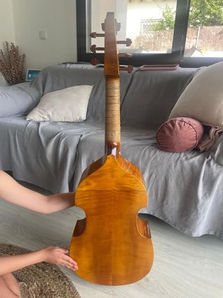 Viola de gamba instrumento musical