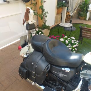 Harley Davidson Sportster 883R 2006