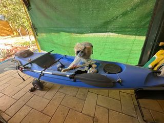Kayak con motor