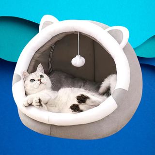 Cuccia Gatto Cuccia per gatti Pelosa + Gioco