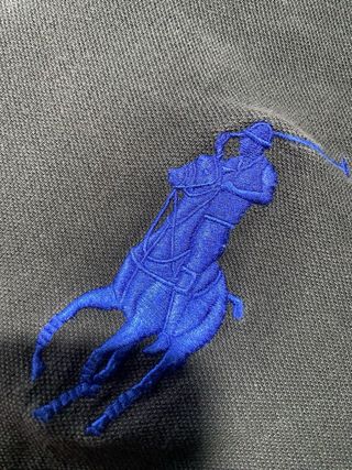Polo Ralph Lauren manga larga gris