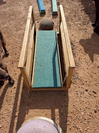 Pista de obstáculos para perros.