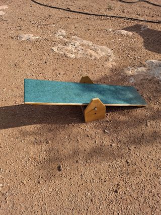 Pista de obstáculos para perros.