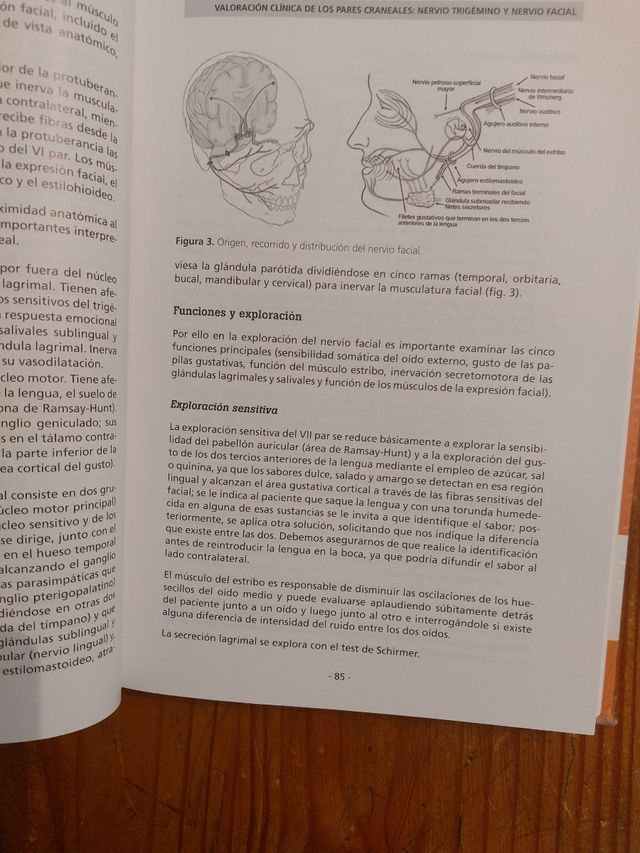 Libro de Medicina, Examen Neurologico