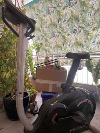 Bicicleta Estática Vintage Alemana