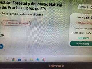 Técnico Superior Gestión Forestal y Medio natural