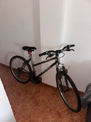 Bicicleta de montaña Topbike