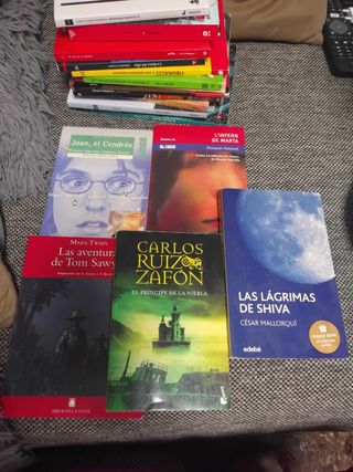 Libros lectura Eso
