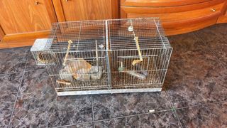Jaulas para pájaros de madera