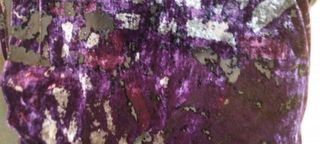 Fular terciopelo transparente color purpura