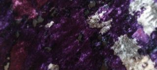 Fular terciopelo transparente color purpura