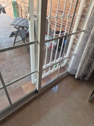 Ventanas y puerta  con mosquiteras.