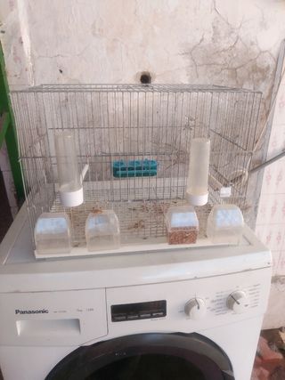 Jaula para pájaros con accesorios