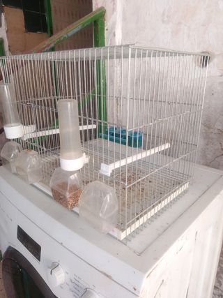 Jaula para pájaros con accesorios