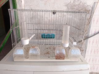 Jaula para pájaros con accesorios