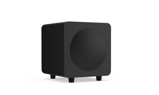 Subgrave activo de 6 pulgadas negro